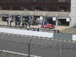 img_444.jpg