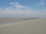 img_007.jpg