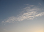 img_156.jpg