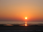 img_172.jpg