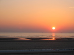 img_173.jpg