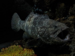 img_019.jpg