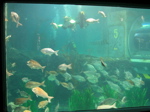 img_026.jpg