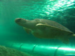 img_343.jpg
