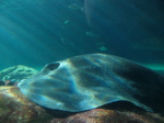 img_346.jpg