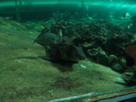 img_351.jpg
