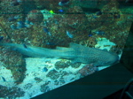 img_353.jpg