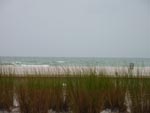 img_1016.jpg